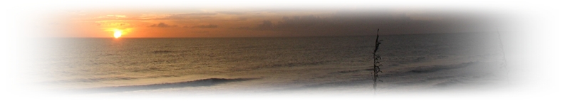 Sunset at SeaCliffs