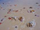 beach7_small.jpg