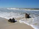 beach8_small.jpg