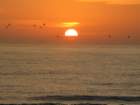 beach13_small.jpg